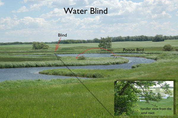 Open Water Blind