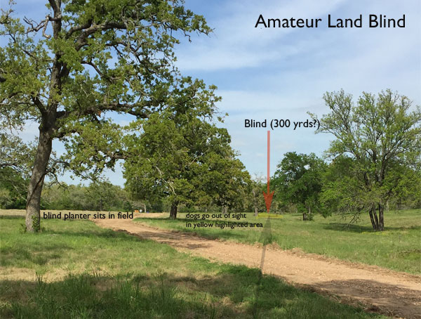 AM Land Blind