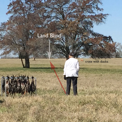 Land Marks