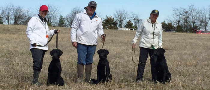 Bruiser 6 months with his brothers