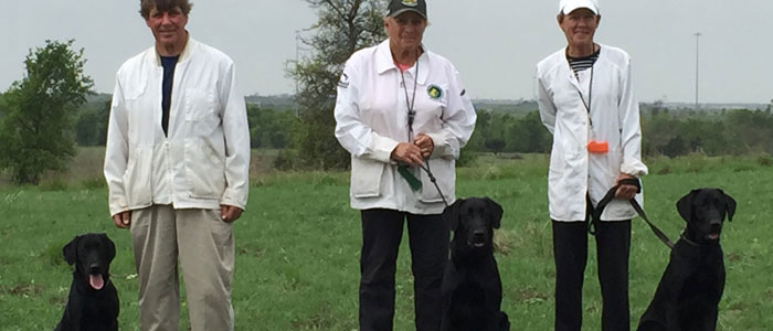 Bruiser 7 months with his brother and sister