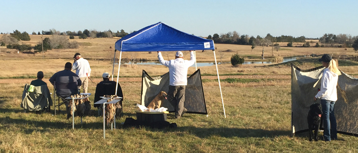 Open Land Blind continues