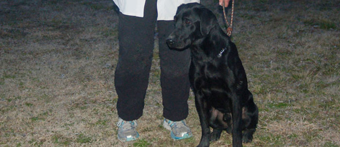  Mom and Roadie, first Derby placement