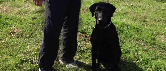  Mom and Roadie, 2nd place in Derby