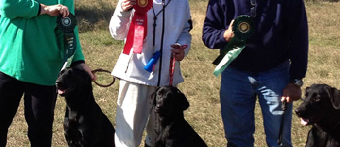  Char pinch hits, and comes home with 3 finishing dogs