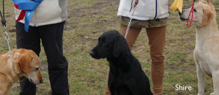  Mom and Char have fun. 2nd with Blue in AM, 3rd with Shire in AM and Derby 1st with Yo.