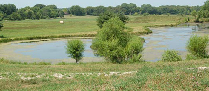 view from the house