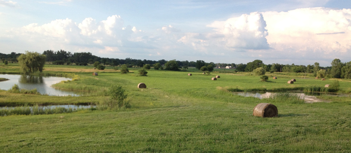 view from the house