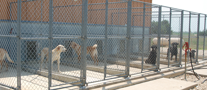 kennels