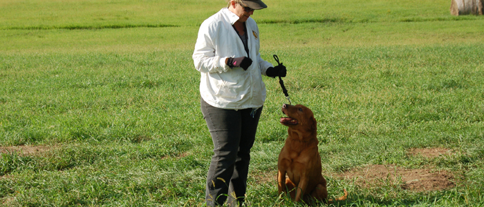 Susan awaits her turn to run