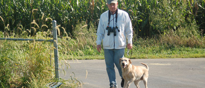 Amateur Land Marks, dog to line