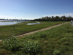 Qual Land and Water Blinds