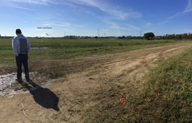 Open Land Quad