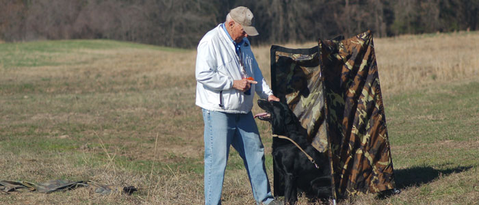 You sit my friend and be a good dog