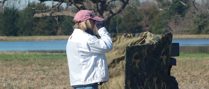 watching the AM Land Blind closely