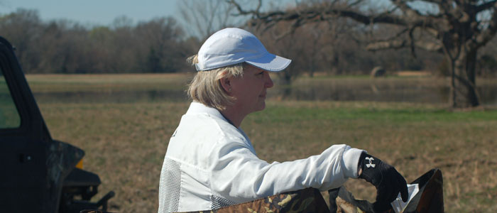 another AM Land Blind watcher