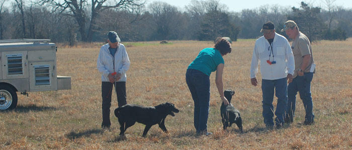 Time out for some petting