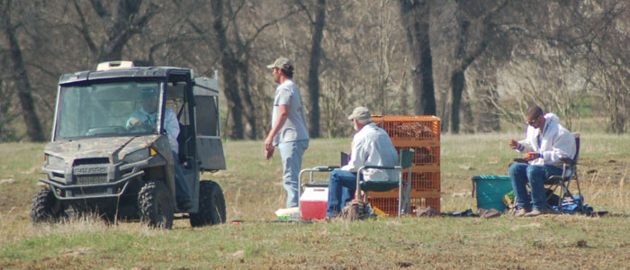 open flyer station, first series