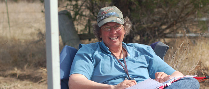 Open Judge Mary Castineyra