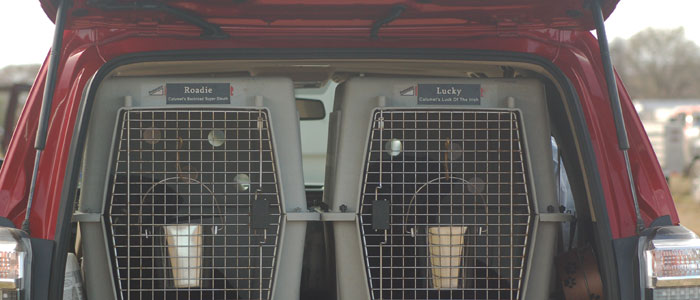 Char's getting the evil eye from Raodie because he gets no birds this weekend.