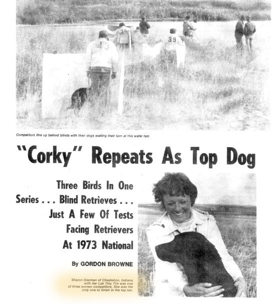 training grounds south